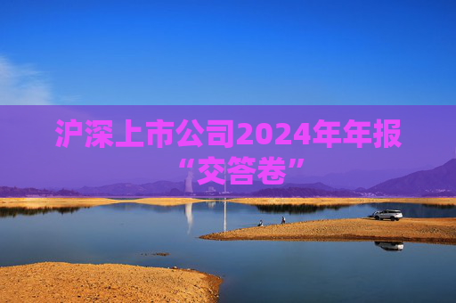 沪深上市公司2024年年报“交答卷”  第1张