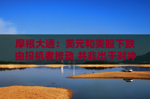 摩根大通：美元和美股下跌由投机者推动 并非出于对冲目的