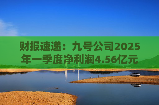 财报速递：九号公司2025年一季度净利润4.56亿元
