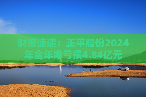财报速递：正平股份2024年全年净亏损4.84亿元