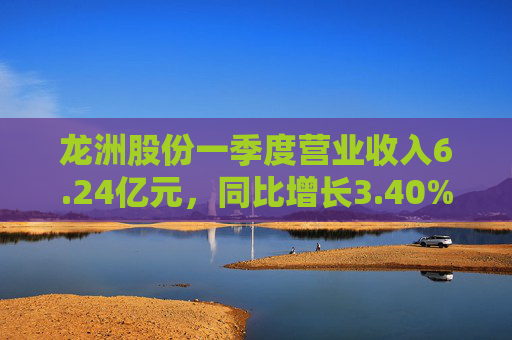 龙洲股份一季度营业收入6.24亿元，同比增长3.40%