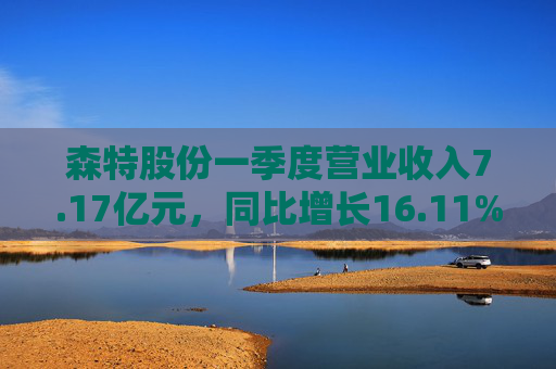 森特股份一季度营业收入7.17亿元，同比增长16.11%