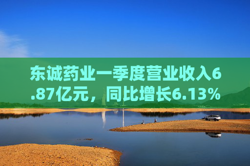 东诚药业一季度营业收入6.87亿元，同比增长6.13%