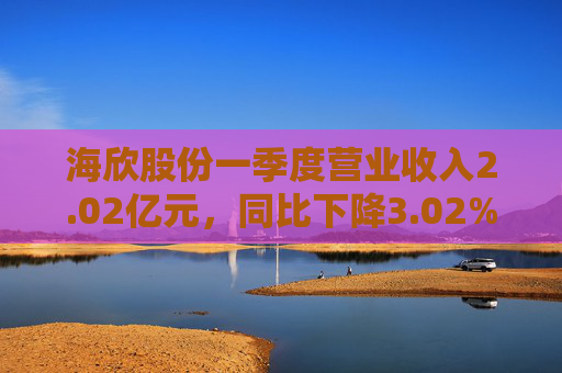 海欣股份一季度营业收入2.02亿元，同比下降3.02%