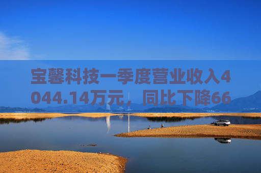 宝馨科技一季度营业收入4044.14万元，同比下降66.73%