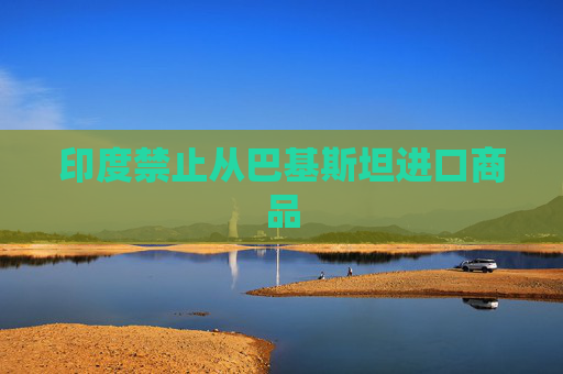 印度禁止从巴基斯坦进口商品