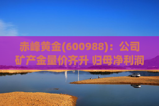 赤峰黄金(600988):公司矿产金量价齐升 归母净利润创历史新高 第1张 赤峰黄金(600988):公司矿产金量价齐升 归母净利润创历史新高 第1张