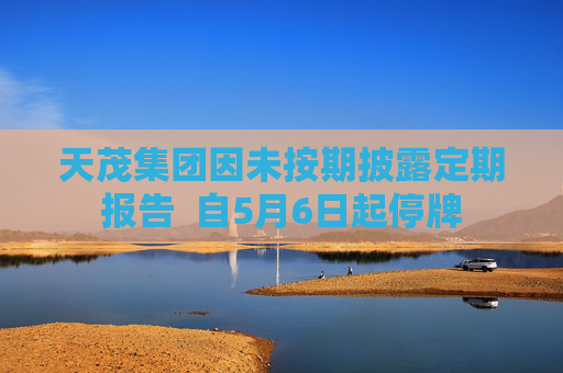 天茂集团因未按期披露定期报告  自5月6日起停牌