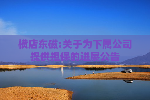 横店东磁:关于为下属公司提供担保的进展公告