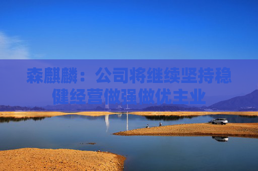 森麒麟：公司将继续坚持稳健经营做强做优主业