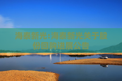 海泰新光:海泰新光关于股份回购进展公告