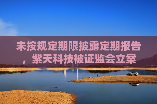 未按规定期限披露定期报告，紫天科技被证监会立案
