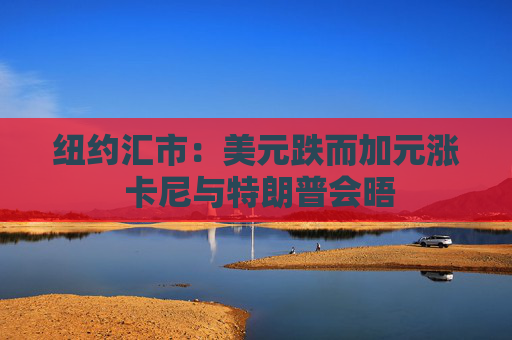 纽约汇市：美元跌而加元涨 卡尼与特朗普会晤