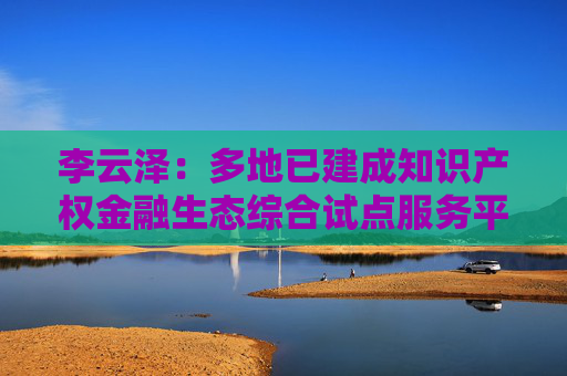 李云泽：多地已建成知识产权金融生态综合试点服务平台