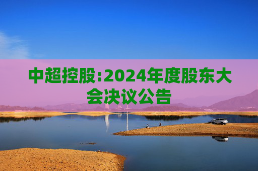 中超控股:2024年度股东大会决议公告