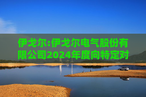 伊戈尔:伊戈尔电气股份有限公司2024年度向特定对象发行A股股票募集说明书（修订稿）