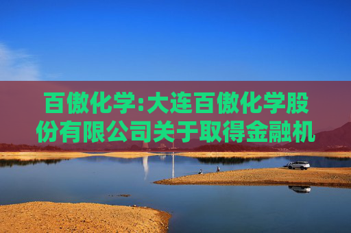 百傲化学:大连百傲化学股份有限公司关于取得金融机构回购专项贷款承诺函的公告  第1张