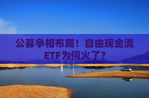 公募争相布局！自由现金流ETF为何火了？  第1张