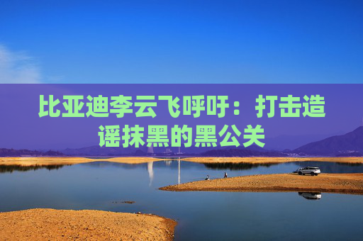 比亚迪李云飞呼吁：打击造谣抹黑的黑公关