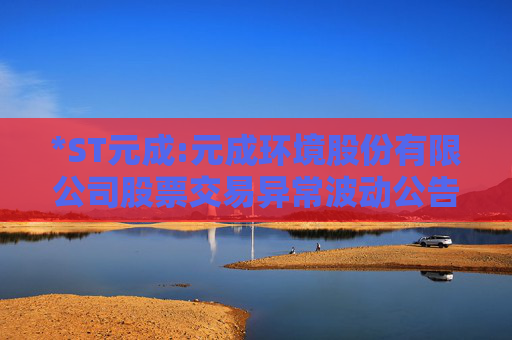 *ST元成:元成环境股份有限公司股票交易异常波动公告