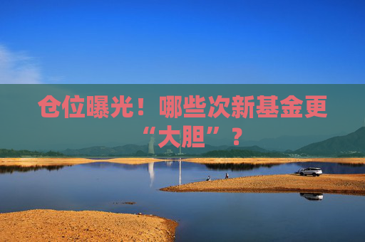 仓位曝光！哪些次新基金更“大胆”？