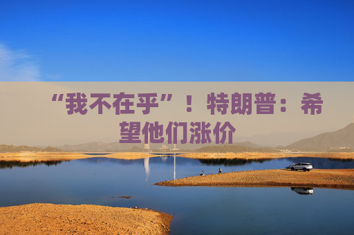 “我不在乎”！特朗普：希望他们涨价  第1张