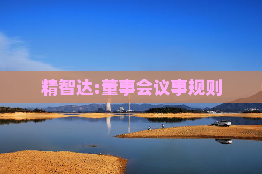 精智达:董事会议事规则  第1张