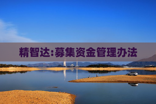 精智达:募集资金管理办法  第1张