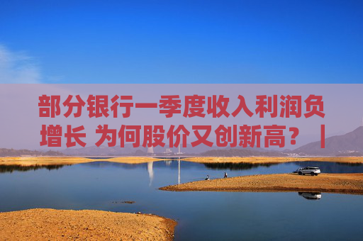 部分银行一季度收入利润负增长 为何股价又创新高？｜市场观察