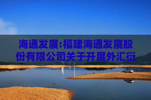 海通发展:福建海通发展股份有限公司关于开展外汇衍生品交易业务的公告