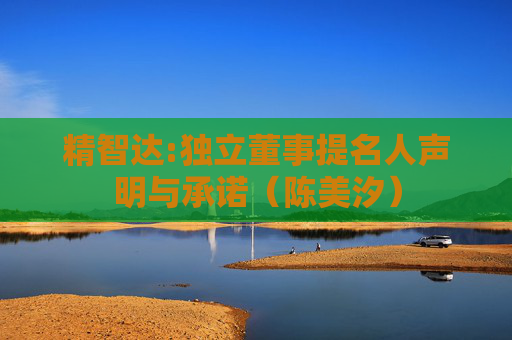 精智达:独立董事提名人声明与承诺（陈美汐）
