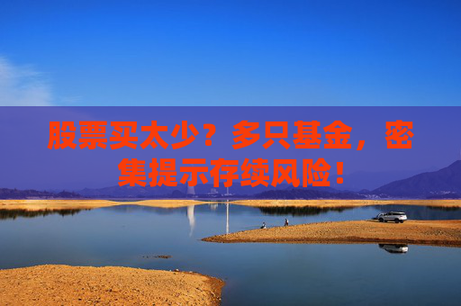 股票买太少？多只基金，密集提示存续风险！