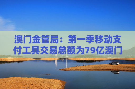 澳门金管局：第一季移动支付工具交易总额为79亿澳门元 同比上升8.7%