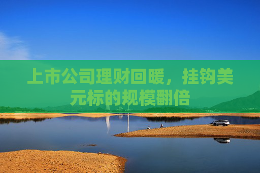 上市公司理财回暖，挂钩美元标的规模翻倍