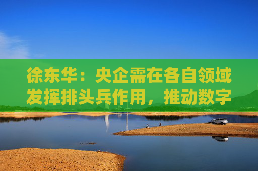 徐东华：央企需在各自领域发挥排头兵作用，推动数字化转型  第1张