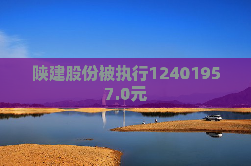 陕建股份被执行12401957.0元