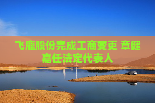 飞鹿股份完成工商变更 章健嘉任法定代表人