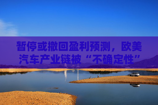 暂停或撤回盈利预测，欧美汽车产业链被“不确定性”包围  第1张