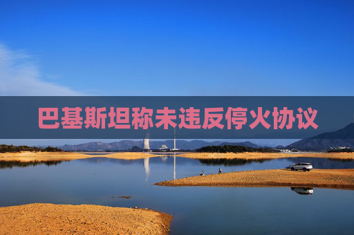 巴基斯坦称未违反停火协议