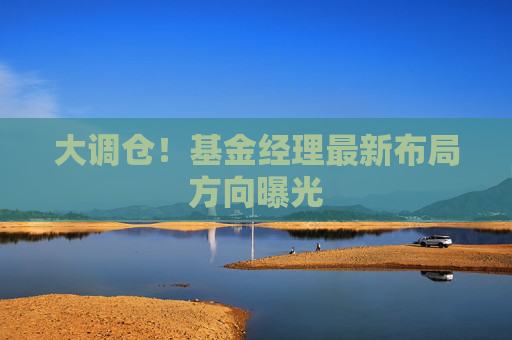 大调仓！基金经理最新布局方向曝光
