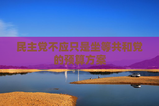 民主党不应只是坐等共和党的预算方案  第1张