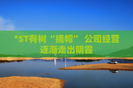 *ST有树“摘帽” 公司经营逐渐走出阴霾  第1张
