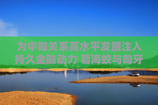 为中匈关系高水平发展注入持久金融动力 葛海蛟与匈牙利总理欧尔班举行工作会谈
