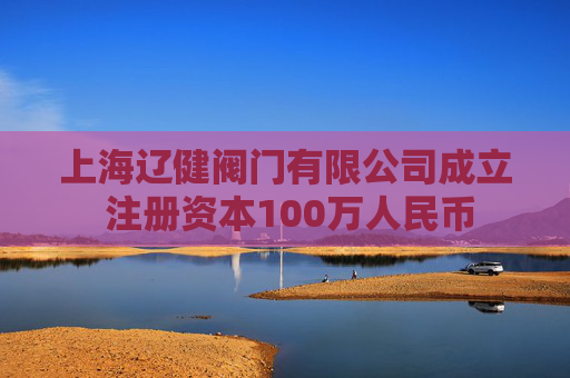 上海辽健阀门有限公司成立 注册资本100万人民币