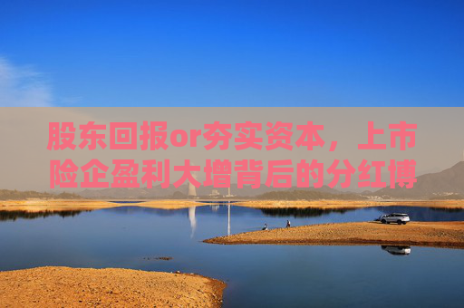 股东回报or夯实资本，上市险企盈利大增背后的分红博弈