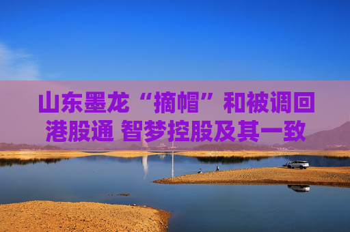 山东墨龙“摘帽”和被调回港股通 智梦控股及其一致行动人减持超1亿股