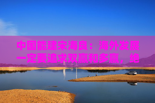 中国能建宋海良：海外发展一定要追求双赢和多赢，绝不能“一家挣钱”