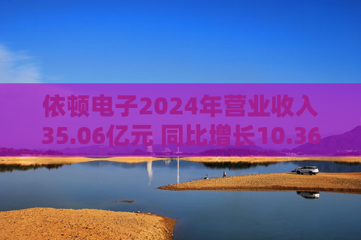 依顿电子2024年营业收入35.06亿元 同比增长10.36%