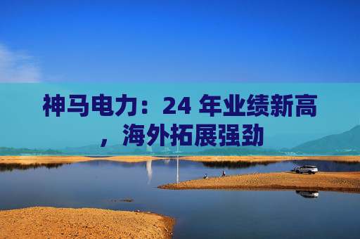 神马电力：24 年业绩新高，海外拓展强劲