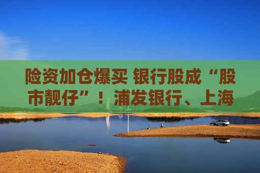 险资加仓爆买 银行股成“股市靓仔”！浦发银行、上海银行等股价飙到历史新高  第1张